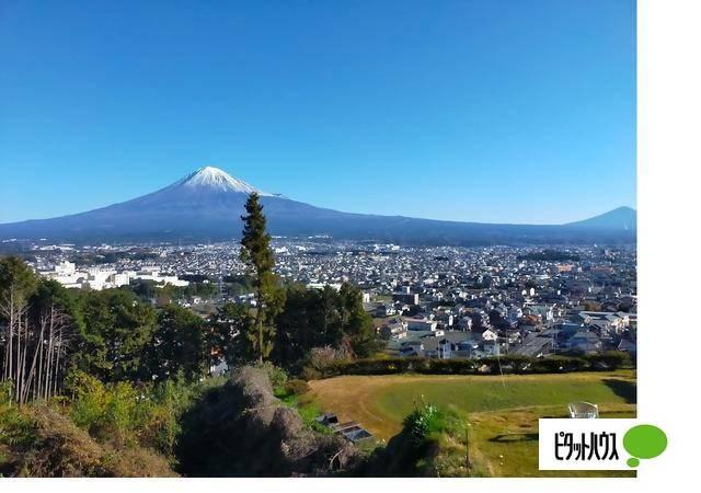 富士山と夜景のキャンプ場桂の森CAMPERS　FIELD：1300m