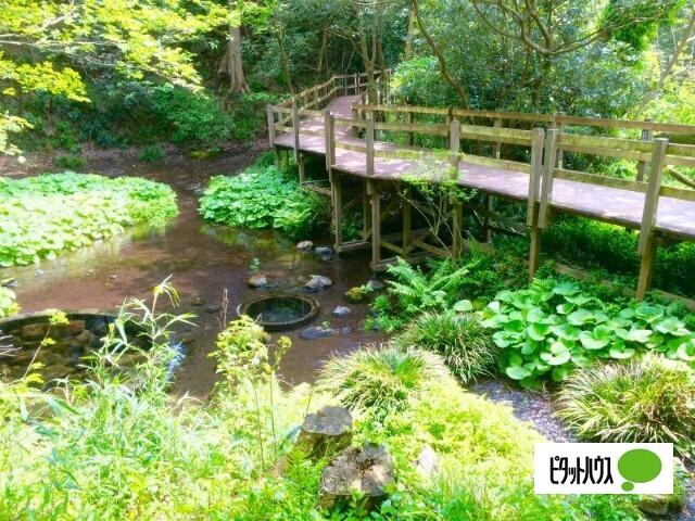 第4号柿田川緑地：371m