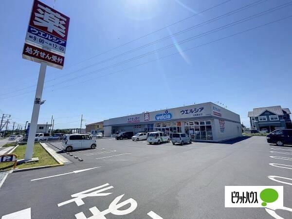 ウエルシア沼津鳥谷店：1256m