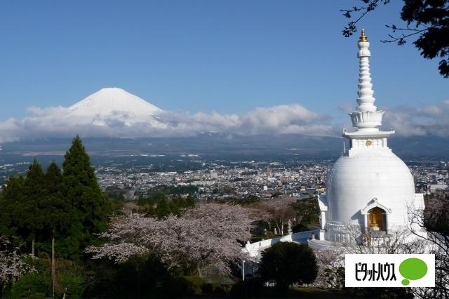 平和公園：1381m