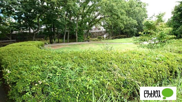 小柄沢緑地：1138m