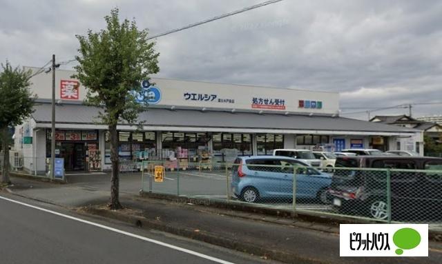 ウエルシア富士水戸島店：1007m