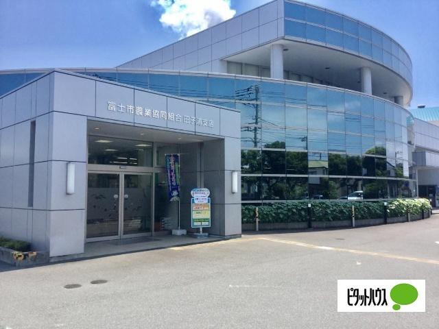 JA富士市田子浦支店：568m
