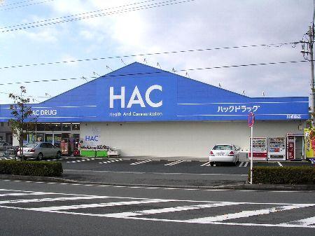 ハックドラッグ川成島店（ドラッグストア）：1300m