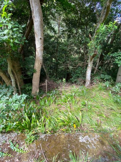 下田市須崎売土地 土地
