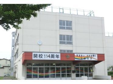 上白石小学校：240m