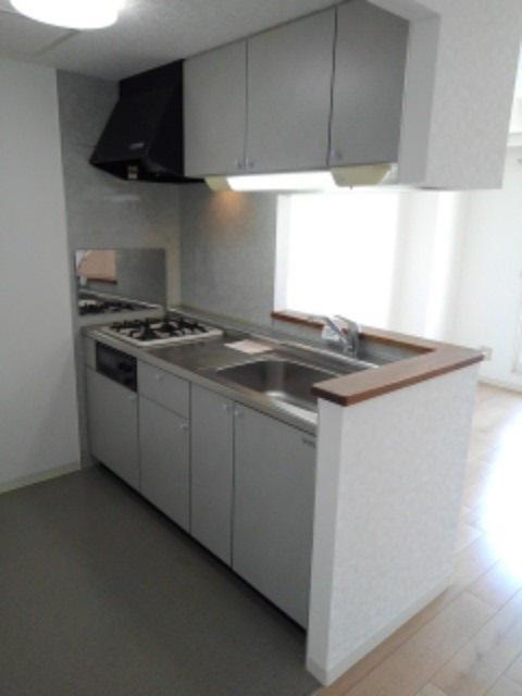 溝ビルⅦ２０００（204） キッチン