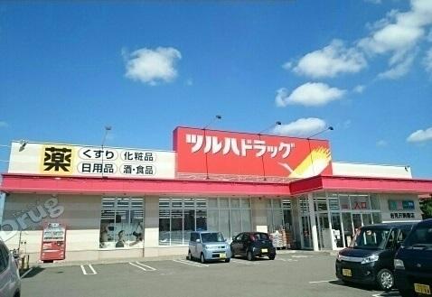 ツルハドラッグ岩見沢駒園店：850m