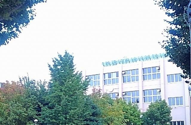 幌南小学校：1100m