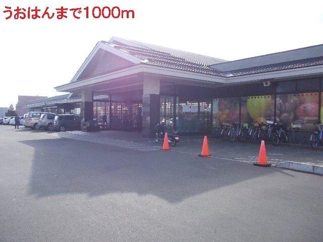 うおはん：1000m