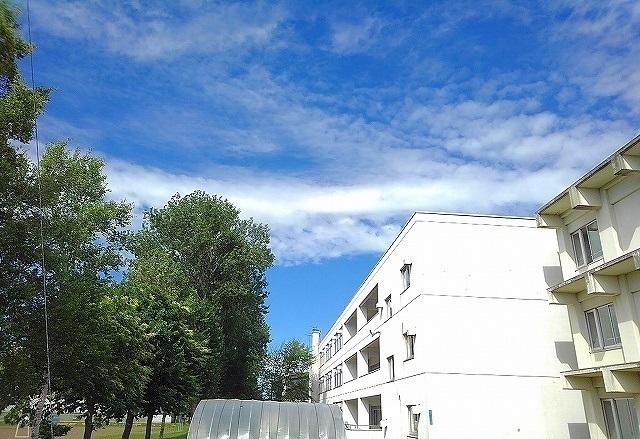 野幌若葉小学校：700m