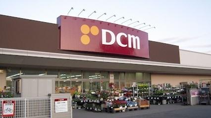 ＤＣＭ川沿店：2900m