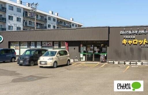 大槻食品館・キャロット新さっぽろ店：860m