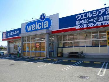 ウエルシア薬局前橋上新田店：400m