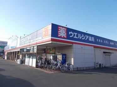 ウエルシア前橋三俣店：600m