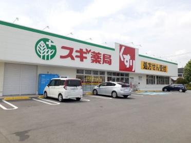 スギドラッグ前橋関根店：800m