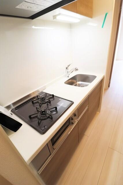 ルミナス大和町（306） 部屋画像