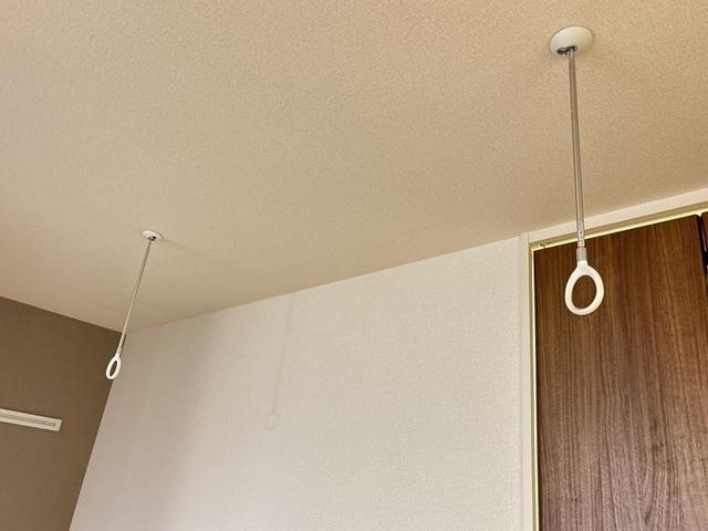 リビオンＨ＆Ｍ　Ⅱ（306） 部屋画像