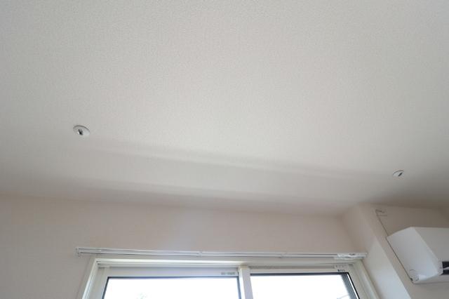 D-Gran矢中町（303） 部屋画像