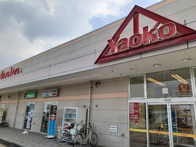 ヤオコー高崎井野店：1100m