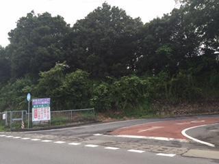 関越自動車道駒寄PA上り：1268m