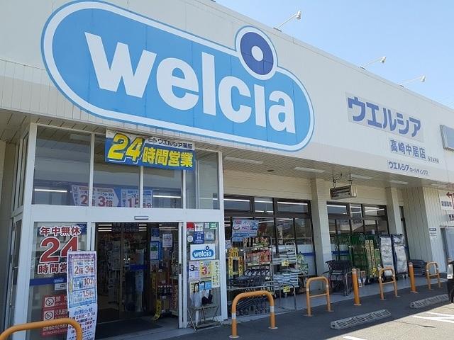 ウエルシア高崎中居店：450m