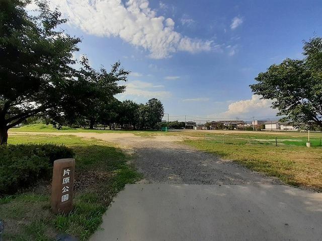 片原公園：90m