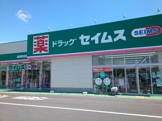 セイムス高崎群馬町店：600m