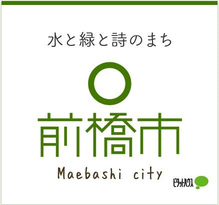 前橋市役所：2003m