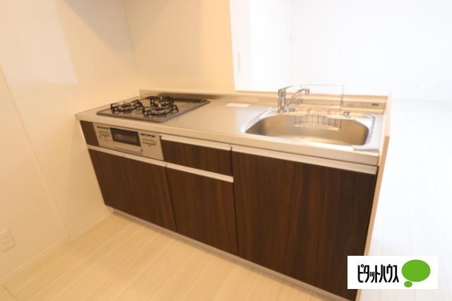 D-ROOM三河町（101） キッチン