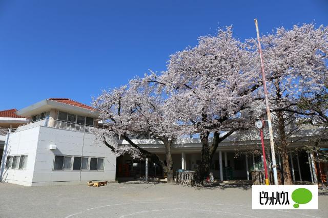 幼保連携型認定こども園二子山幼稚園：1291m