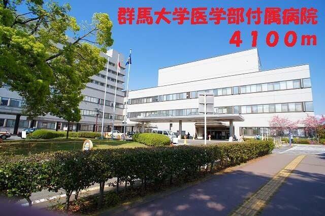 群馬大学医学部付属病院：4100m