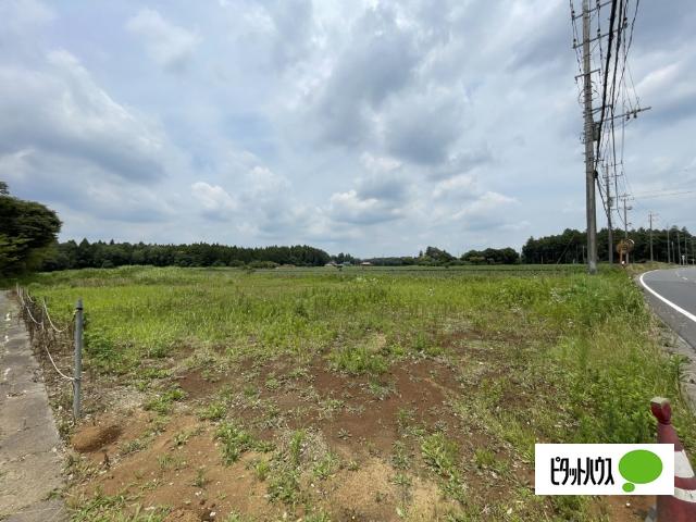 県道より撮影
