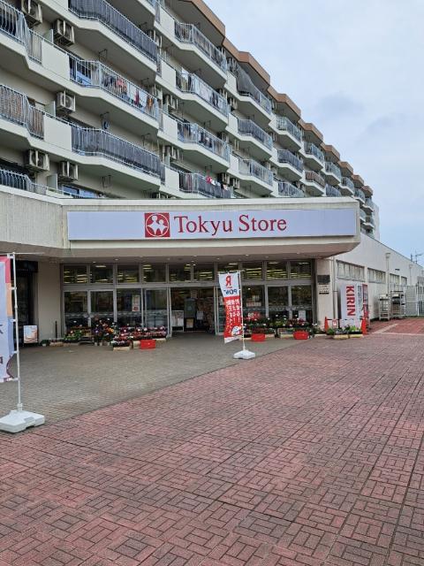 東急ストア東林間店：523m