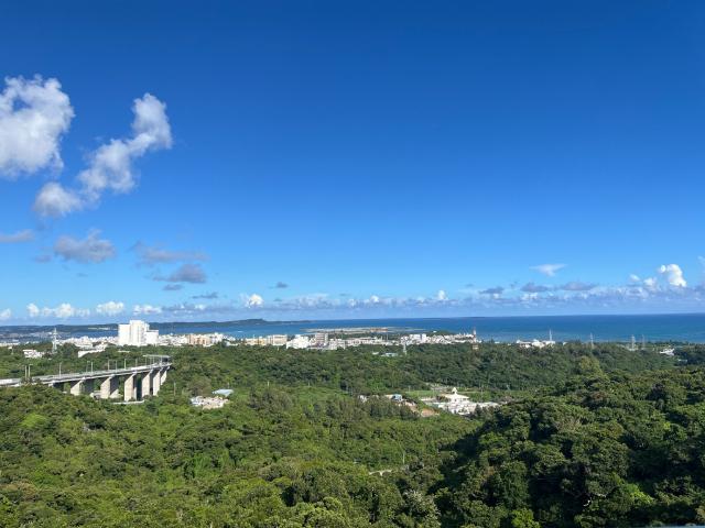 apartment 字ライカム