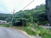 土地1