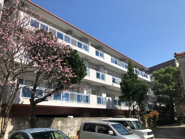 apartment 首里当蔵町２丁目