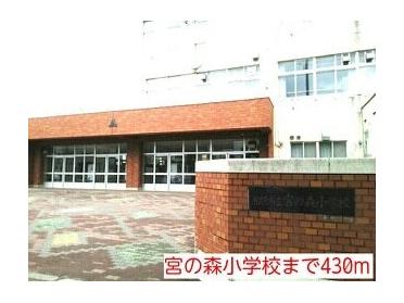 宮の森小学校：430m