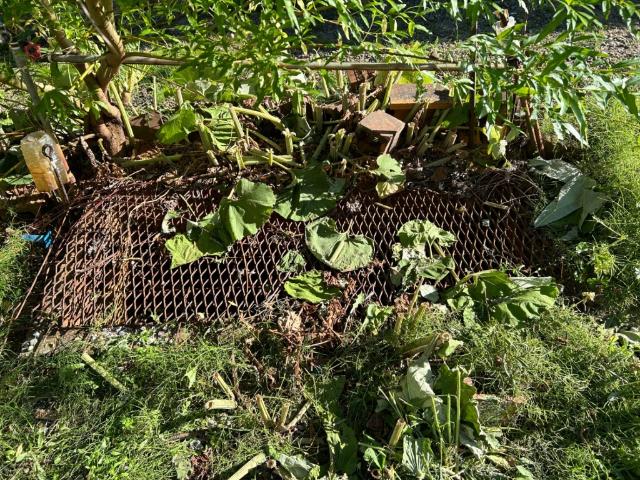 扇町2丁目戸建て（kodate） 部屋画像