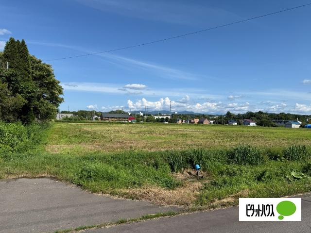 北西側からの撮影