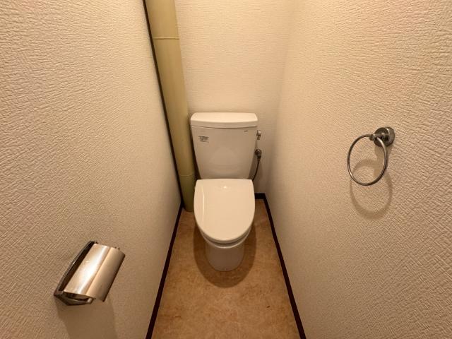 泉水田ハイツ（302） トイレ