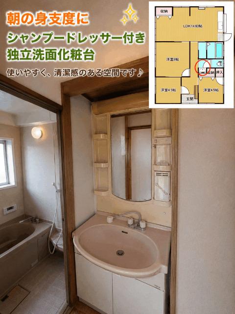 黒髪町平屋戸建（1） 洗面