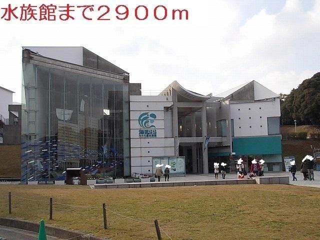 海きらら：2900m