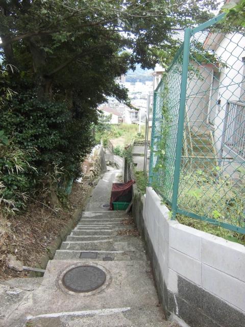 第Ⅱ森ハイツ 物件画像