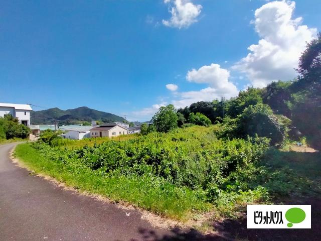土地1