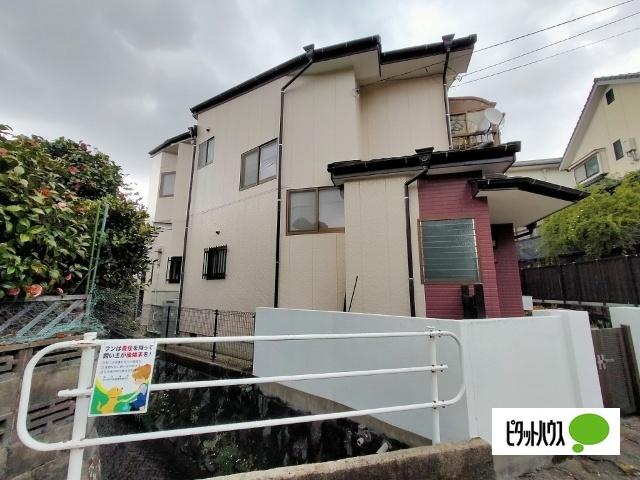 西側から