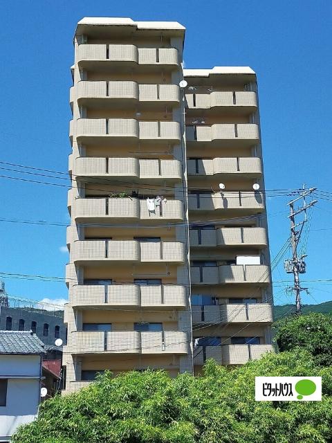 南から