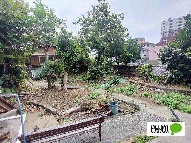 庭