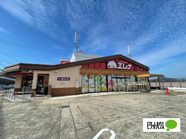 エレナ天神店