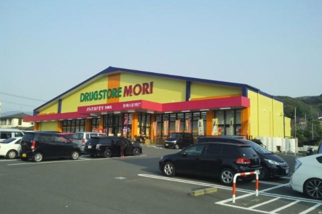 ドラッグストアモリ矢峰店